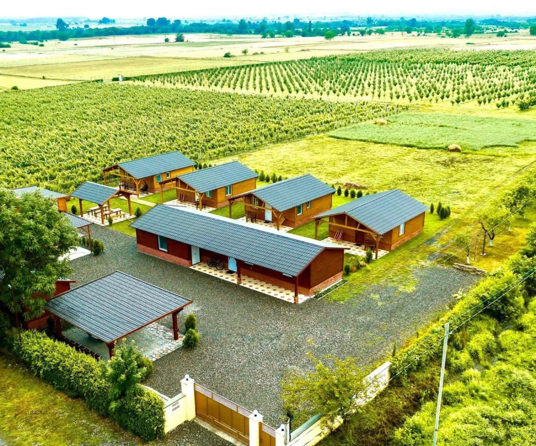 Finca Idoize Camping Hotel Akhmeta Exterior foto