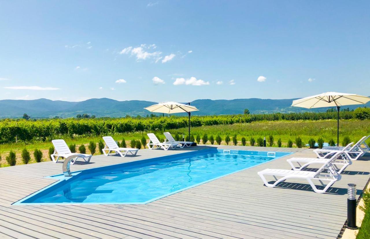 Finca Idoize Camping Hotel Akhmeta Exterior foto